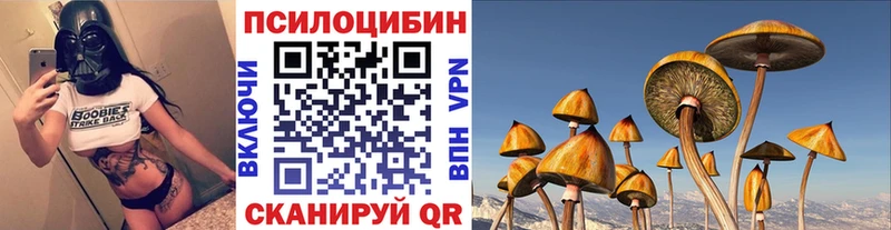 Галлюциногенные грибы прущие грибы  цены   Рошаль 